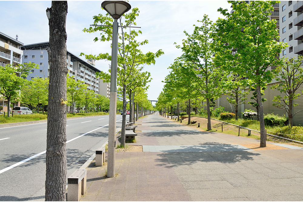 街路樹の管理